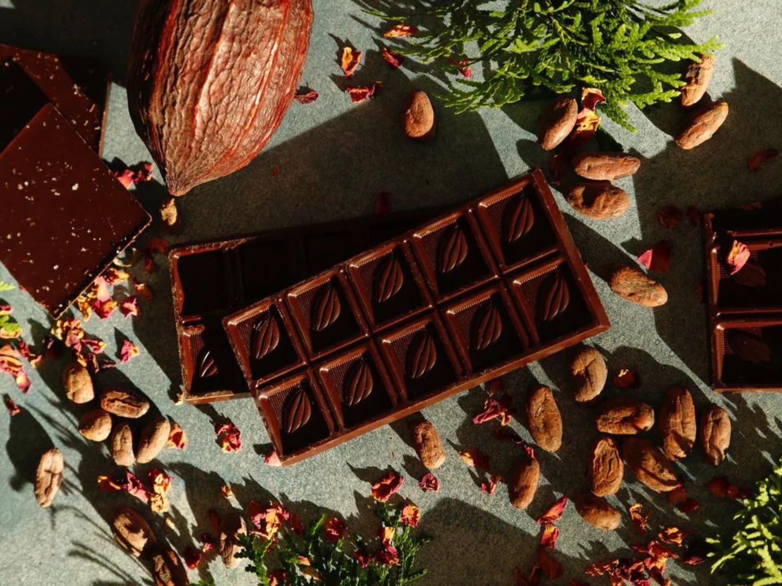 These Are the 9 Best Dairy Free Chocolates on the Market