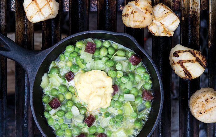 English pea ragout with grilled sea scallops