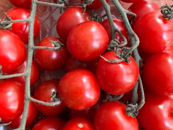 Hiiros tomatoes