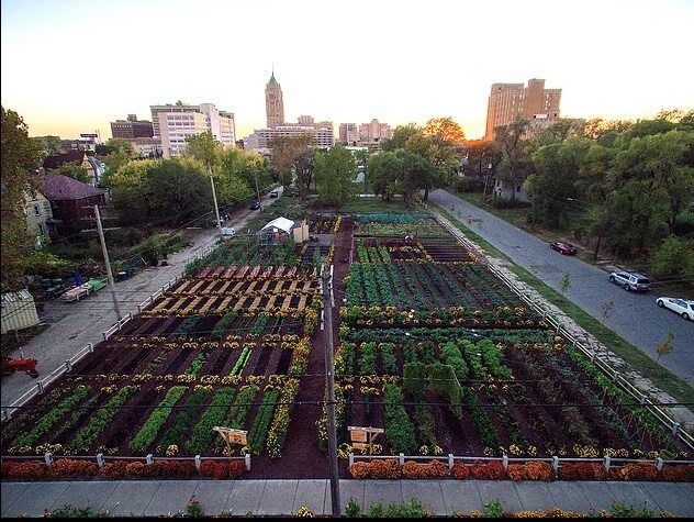 Michigan-urban-farm