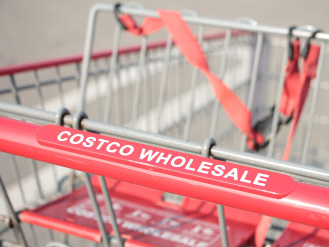 cart inside a costco warehouse