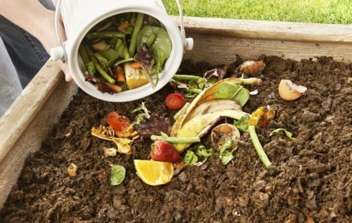 Pouring food scraps into a compost pile