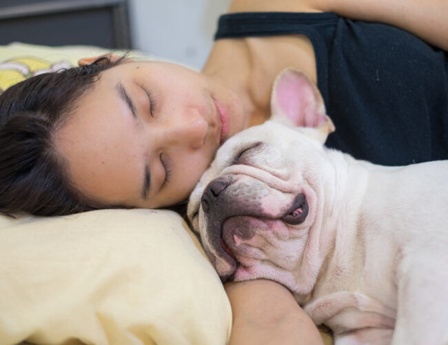a young woman and french bulldog napping