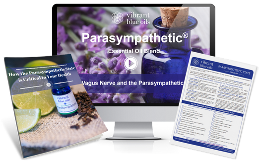 parasympathetic